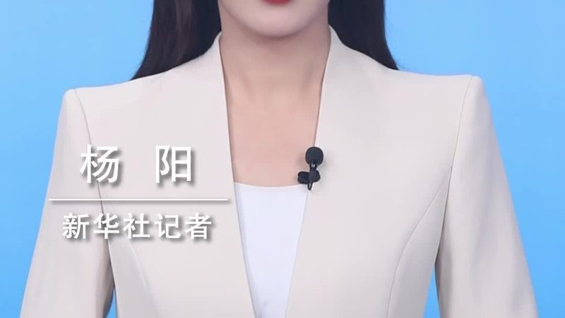 轻量级ELT工具：上海企业数据集成新选择
